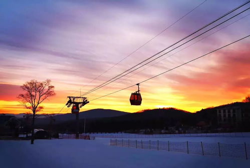 春节不打烊,让我们 年 在一起
