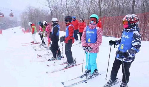 中国文明网联盟 哈尔滨站