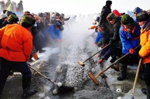 11月22日 28日 欧陆风情哈尔滨 激情亚布力新豪阳光度假村 梦幻中国雪乡等双飞6日 3680元 人