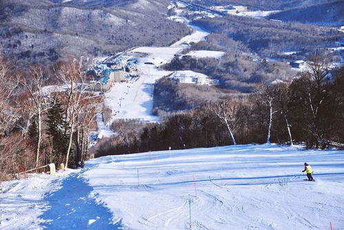 欧洲雪场全面关闭,中国这家比法国还法国,奶酪火锅东北菜随便吃