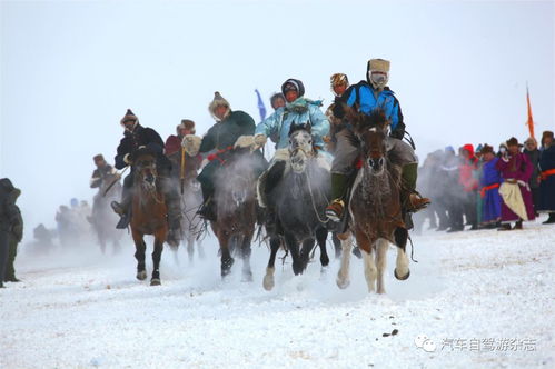 让这场草原上的狂欢盛宴,告诉你什么才叫 梦幻
