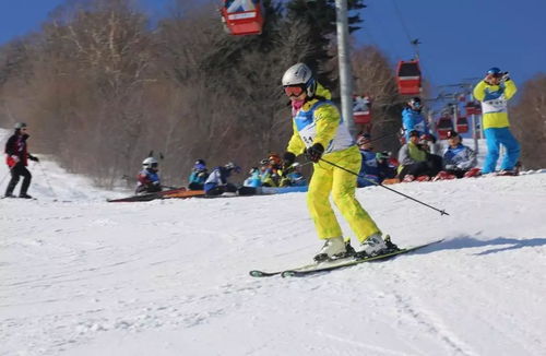 优惠 高山滑雪优惠活动火爆来袭,你就是雪上王者