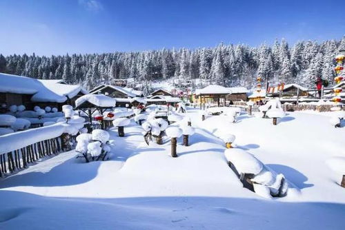 哈尔滨雪乡旅游必去景点 哈尔滨雪乡旅游攻略几月份去好 最佳攻略