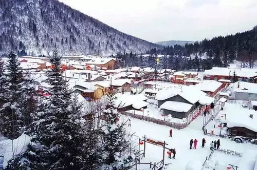 玩雪 东北先够嗨 童话世界雪乡 亚布力激情滑雪