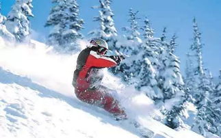 文旅资讯 亚布力滑雪季来啦 黑龙江滑雪节12月1日精彩绽放