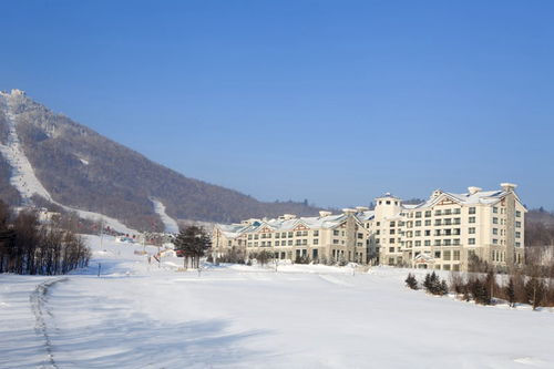 精致一价全包服务,跟随club med来一场不用做攻略的旅行