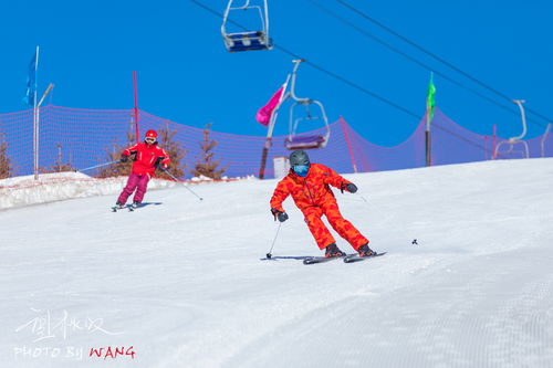 不只滑雪,在亚布力的冰天雪地里尽情的撒欢