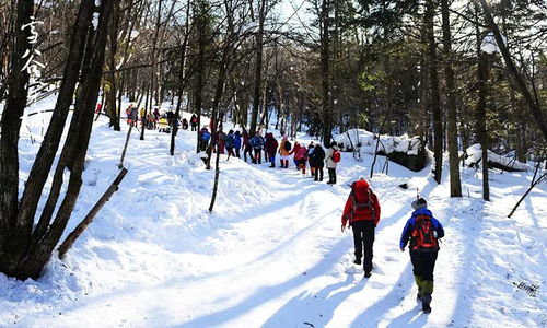 12.29 2日 哈尔滨 亚布力畅游滑雪 二浪河 二浪河 大雪谷 雪乡 虎峰岭景区5天游