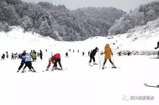滑雪 成都周边滑雪,冬季带孩子游玩的好去处