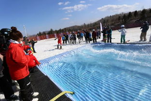 亚布力阳光度假村光猪节摄影作品评选投票活动开始啦