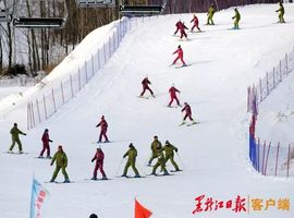 全球推介丨龙龙带你游四季龙江