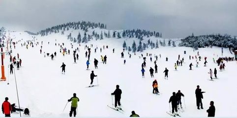 499送滑雪票&下午茶!竹海腹地隐世酒店,清新疗愈雅居,汤泉任性泡~