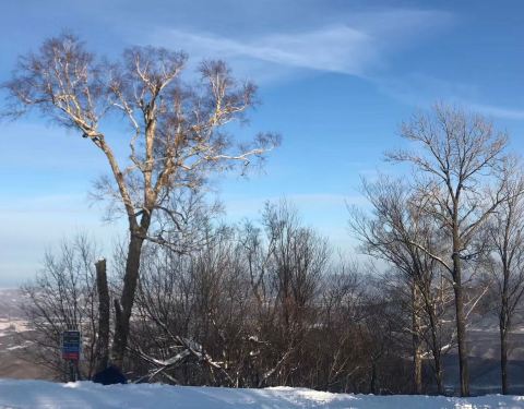 2020亚布力阳光度假村滑雪场门票,亚布力亚布力阳光度假村滑雪场游玩攻略,亚布力阳光度假村滑雪场游览攻略路线 地址 门票价格