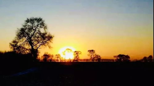 爆款精品团 哈尔滨 亚布力 万科双滑雪 徒步穿越林海雪原 雪乡 镜泊湖冬捕 长白山温泉 魔界 雾凇岛