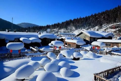 3.4 3.9东北雪乡 亚布力滑雪 镜泊湖 长白山 6日游