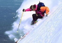 深圳去看雪 沈阳 哈尔滨 亚布力 吉林 长春双飞5日游