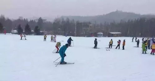 一年一度冬季旅游胜地,火热接受报名中