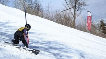 8264滑雪公开赛北大壶站落幕 500余名选手角逐