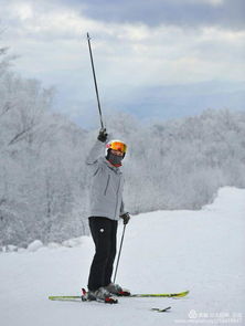 在三锅山顶沐浴阳光释放朝气 亚布力阳光滑雪场首滑