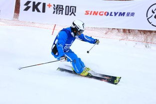 第三届中国大众滑雪技术大奖赛亚布力阳光度假村站圆满开幕