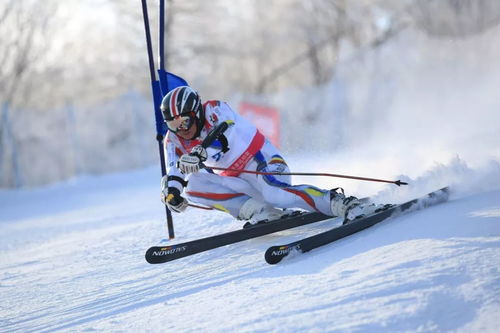 亚布力阳光度假村2018 2019雪季推介会 牡丹江站 邀请函
