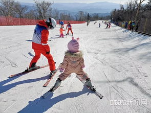 过大年,雪上飞 春节假期,滑雪爱好者欢聚亚布力