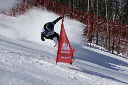 完美收官丨 助力双奥 雪战到底 滑向2022 新浪杯滑雪系列赛落幕