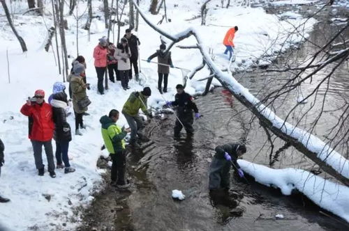 1月17 22日哈尔滨 虎峰岭 横道河子 温泉 狩猎 – 亚布力阳光度假村滑雪 爸爸去哪儿雪乡 东北六日