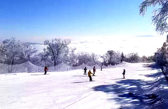 黑龙江哈尔滨亚布力滑雪场景区新闻宾馆酒店住宿+阳光度假村滑雪