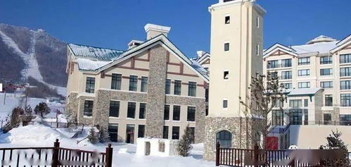 倒计时24小时丨冬季抢手的滑雪度假村早鸟马上结束