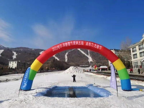 光猪 抓住 雪尾巴 哈尔滨春雪节亚布力盛大亮相 雪友上演 猛龙过江