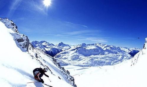 真奇了,看后每个人都变聪明了