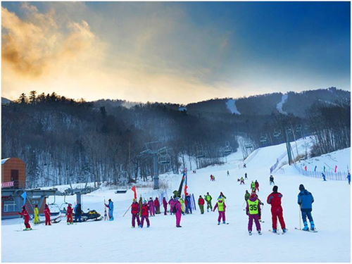 魅力冰城哈尔滨 穿越林海雪原 雪乡 雪谷 镜泊湖 雾凇岛 长白山 亚布力滑雪休闲纯玩7日游