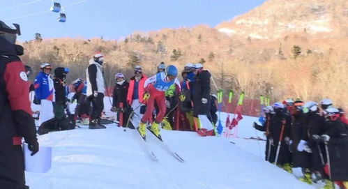 黑龙江省第十五届运动会高山滑雪比赛在亚布力滑雪场结束 鹤岗运动员表现突出