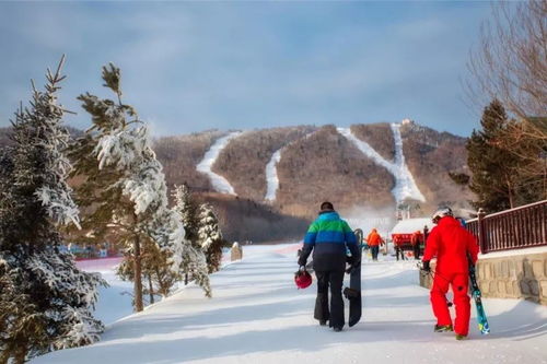 阳光度假村19 20雪季 滑雪卡 秒杀活动再度开启 你,准备好了么