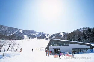 在长野学滑雪提高雪技最值得推荐的斑尾高原tangram度假村酒店 滑进滑出的雪场
