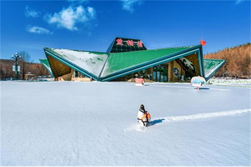 嗨滑雪 看熊猫 泡温泉 这个冬天总要来趟亚布力