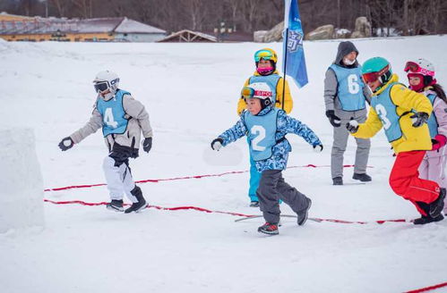 激情龙江 助力冬奥 滑雪正当少年时 滑雪吧 少年 引领中国冰雪旅游新风尚