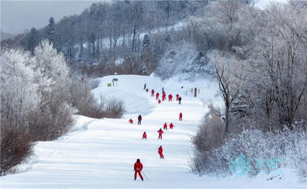 2021亚布力阳光度假村滑雪场玩乐全攻略 雪中畅玩，尽享冰雪乐趣
