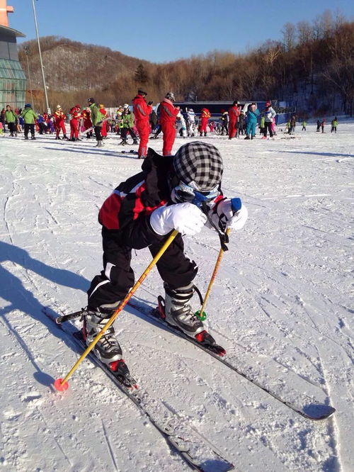 雪地里的童话世界 细数亚布力滑雪度假村的冬日最美雪景