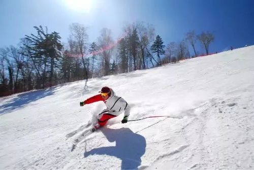 迎接亚布力滑雪季 距离2017-2018雪季仅剩8天