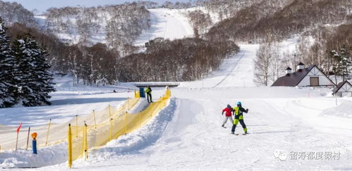 为何众多父母偏好带孩子前往北海道留寿都度假村与亚布力滑雪度假村滑雪