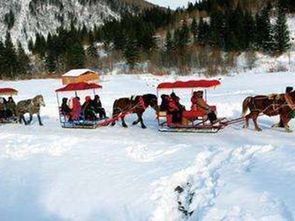 哈尔滨亚布力圣诞别墅村、雪乡森林部落6日游 冰雪奇缘与滑雪盛宴