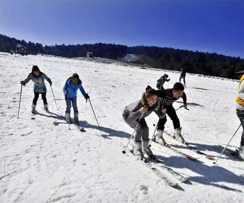 一价全含哈尔滨亚布力雪乡双飞五日游 尽享冰雪奇缘，3680元起