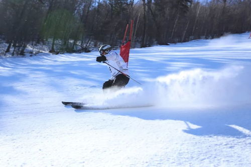 冰天雪地亚布力,青春飞扬青训营
