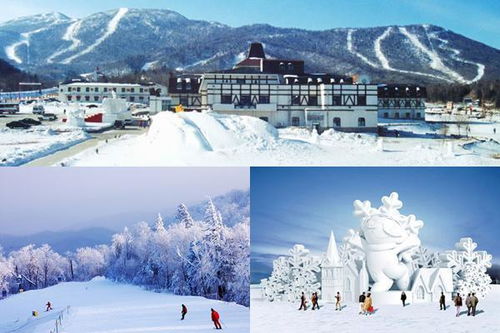 羊年来了 那些值得一去的 洋 滑雪场